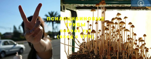 мяу мяу кристалл Карпинск