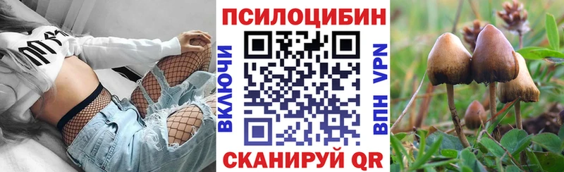 Купить закладки Каргат Псилоцибиновые грибы мицелий